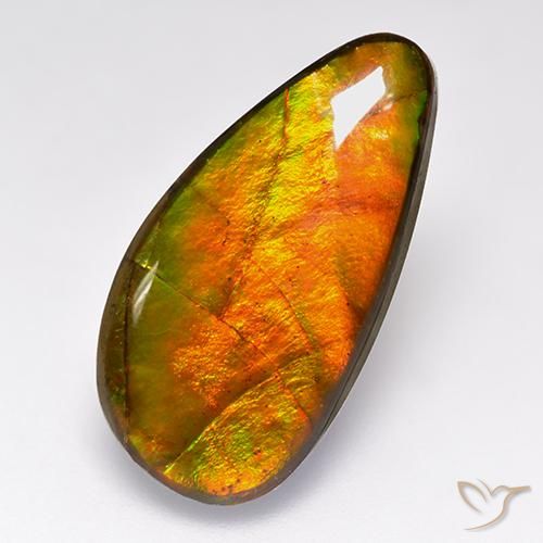 10.05ct Natural Multicolor Ammolite, Fancy, Opaque
