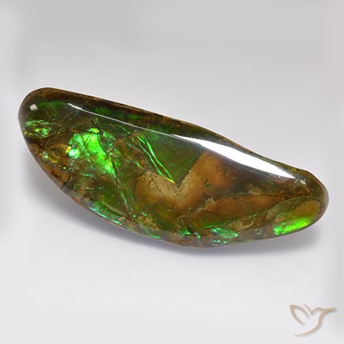 22.02ct Natural Multicolor Ammolite, Fancy, Opaque