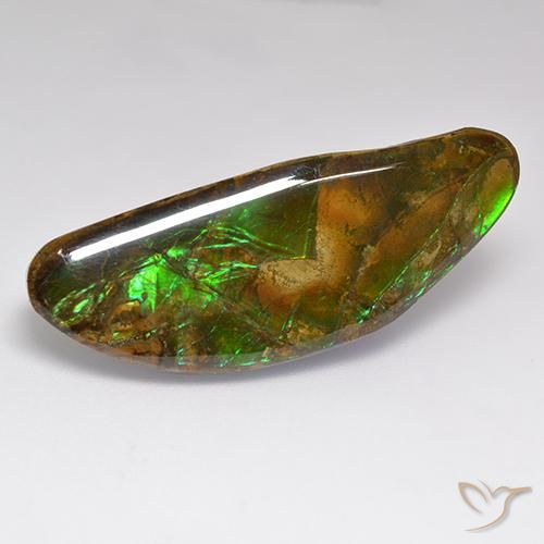 22.02 ct Multicolor Ammolite Stone, Natural Ammolite in Fancy Cabochon Shape for Sale
