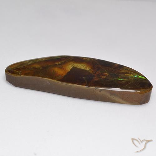 Ammolite Gemstone in 36.3 x 13.8 mm Size for Sale, Ammolite Stone in Multicolor Color
