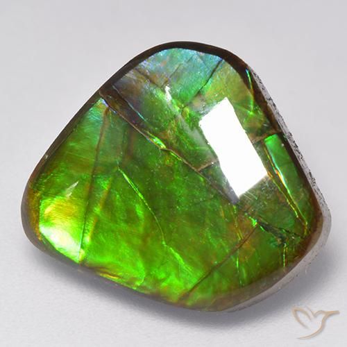 9.81ct Natural Multicolor Ammolite, Fancy, Opaque