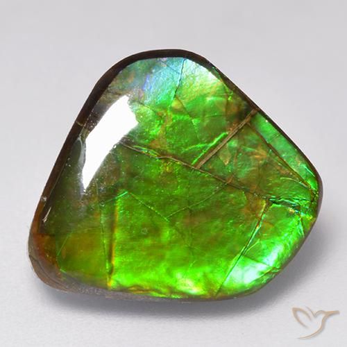 9.81 ct Multicolor Ammolite Stone, Natural Ammolite in Fancy Cabochon Shape for Sale