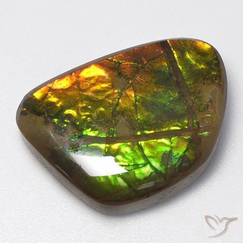 13.40 ct Multicolor Ammolite Stone, Natural Ammolite in Fancy Cabochon Shape for Sale
