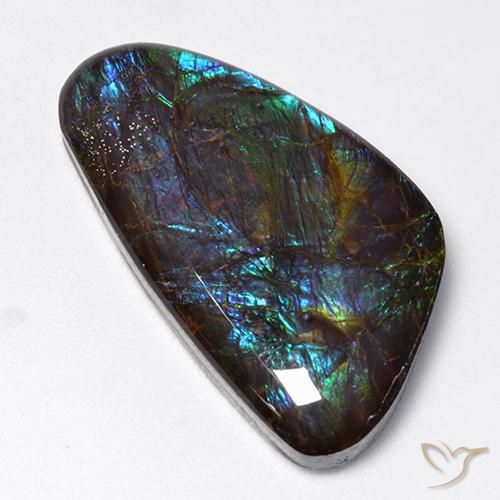 18.97ct Natural Multicolor Ammolite, Fancy, Opaque