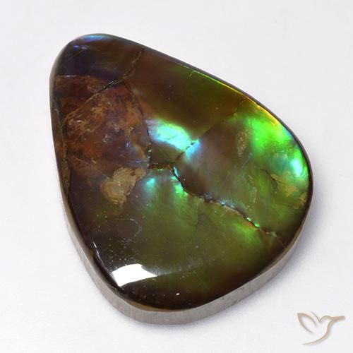 16.73 ct Multicolor Ammolite Gemstone, Ammolite Gem in Pear Cabochon Shape for Sale.