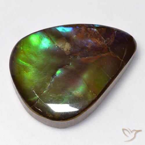 16.73 ct Multicolor Ammolite Stone, Natural Ammolite in Pear Cabochon Shape for Sale
