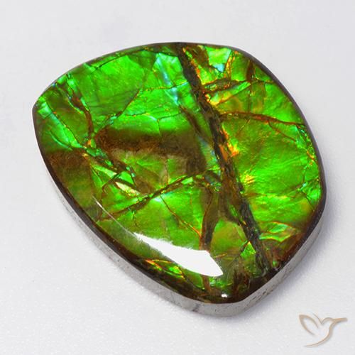 15.50 ct Multicolor Ammolite Stone, Natural Ammolite in Fancy Cabochon Shape for Sale