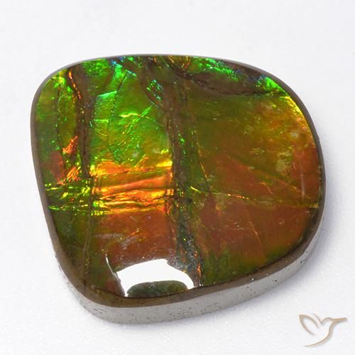 13.06 ct Fancy Ammolite, 16.6 x 15.8 mm From Canada, Photo A