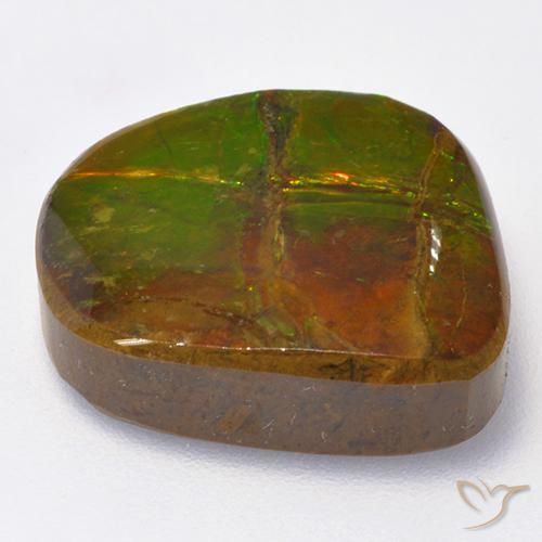 Ammolite Gemstone in 16 x 16 mm (calibrated) Size for Sale, Ammolite Stone in Multicolor Color