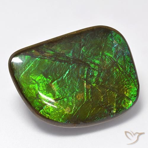 19.75ct Natural Multicolor Ammolite, Fancy, Opaque