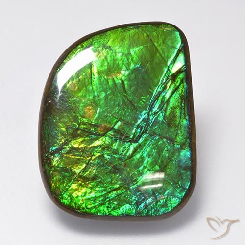 19.75 ct Multicolor Ammolite Stone, Natural Ammolite in Fancy Cabochon Shape for Sale