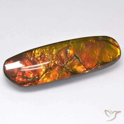 18.52ct Natural Multicolor Ammolite, Fancy, Opaque