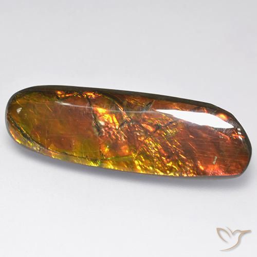 18.52 ct Multicolor Ammolite Stone, Natural Ammolite in Fancy Cabochon Shape for Sale