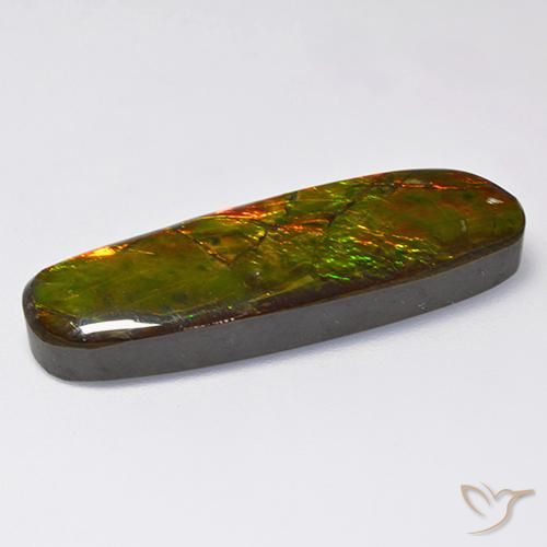 Ammolite Gemstone in 33.6 x 10.9 mm Size for Sale, Ammolite Stone in Multicolor Color