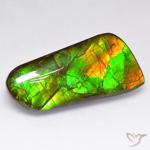 16.18ct Natural Multicolor Ammolite, Fancy, Opaque