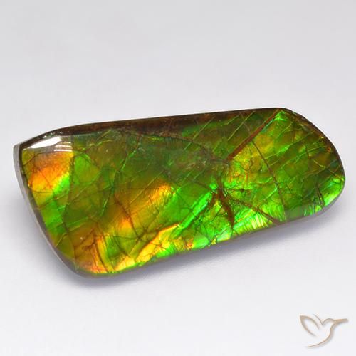 16.18 ct Multicolor Ammolite Stone, Natural Ammolite in Fancy Cabochon Shape for Sale
