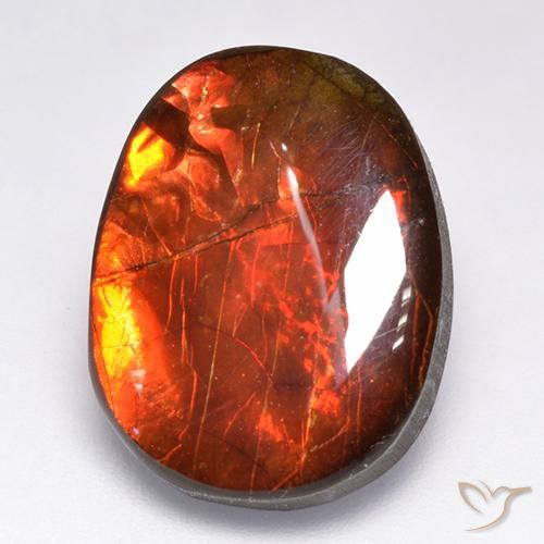 12.19ct Natural Multicolor Ammolite, Fancy, Opaque