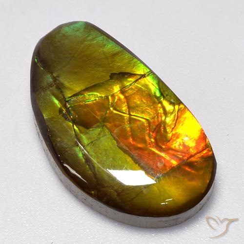13.86 ct Multicolor Ammolite Stone, Natural Ammolite in Fancy Cabochon Shape for Sale