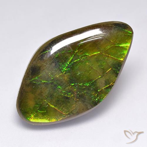 14.12ct Natural Multicolor Ammolite, Fancy, Opaque