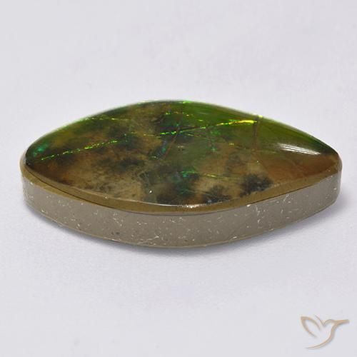 Ammolite Gemstone in 24.8 x 14.4 mm Size for Sale, Ammolite Stone in Multicolor Color