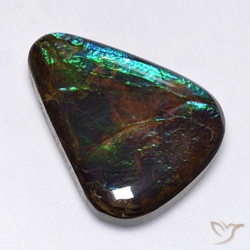 17.25ct Natural Multicolor Ammolite, Fancy, Opaque