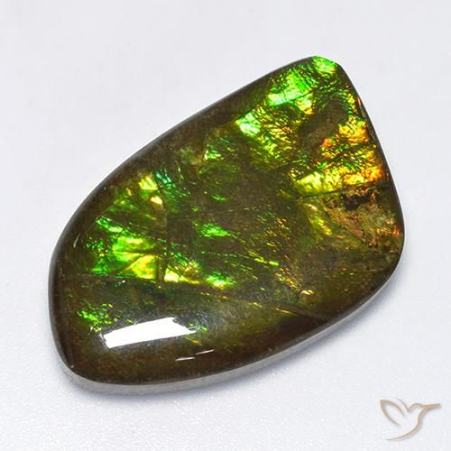 18.89ct Natural Multicolor Ammolite, Fancy, Opaque
