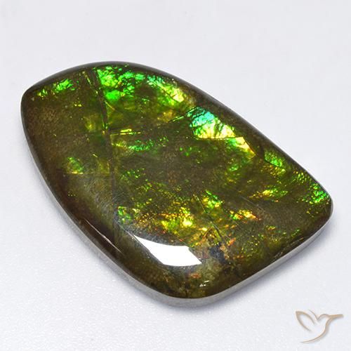 18.89 ct Multicolor Ammolite Stone, Natural Ammolite in Fancy Cabochon Shape for Sale