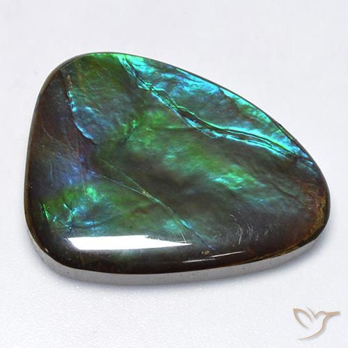25.47 ct Multicolor Ammolite Stone, Natural Ammolite in Fancy Cabochon Shape for Sale
