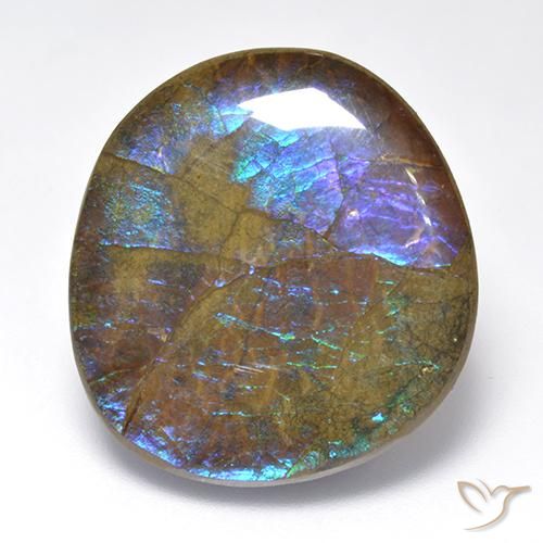 Ammolite Multicolore Fantaisie 23,02 ct du Canada, Dimension 23,6x22,4 mm, Pierre gemme naturelle assemblé, pureté Opaque , 1 pièce d'ammolite fancy cabochon, dureté de Mohs de 4 à 4, Photo A