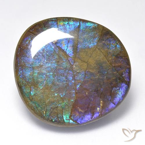 23.02 ct Multicolor Ammolite Stone, Natural Ammolite in Fancy Cabochon Shape for Sale