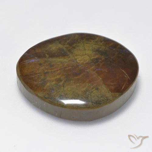 Ammolite Gemstone in 23.6 x 22.4 mm Size for Sale, Ammolite Stone in Multicolor Color