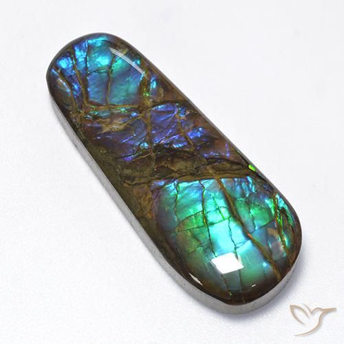 16.62 ct Fancy Ammolite, 30.2 x 11.6 mm From Canada, Photo A