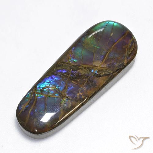 16.62 ct Multicolor Ammolite Stone, Natural Ammolite in Fancy Cabochon Shape for Sale