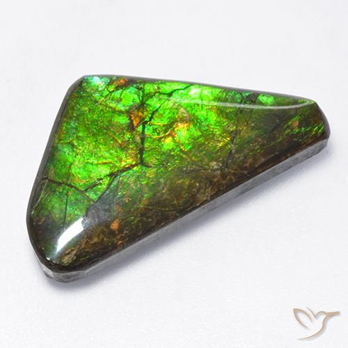 10.43 ct Fancy Ammolite, 23.7 x 13.6 mm From Canada, Photo A