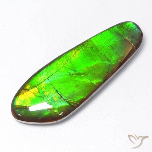 17.48ct Natural Multicolor Ammolite, Fancy, Opaque