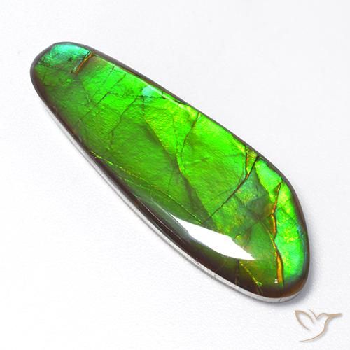 17.48 ct Multicolor Ammolite Stone, Natural Ammolite in Fancy Cabochon Shape for Sale