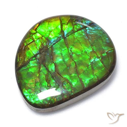 18.62 ct Fancy Ammolite, 21.7 x 19.1 mm From Canada, Photo A