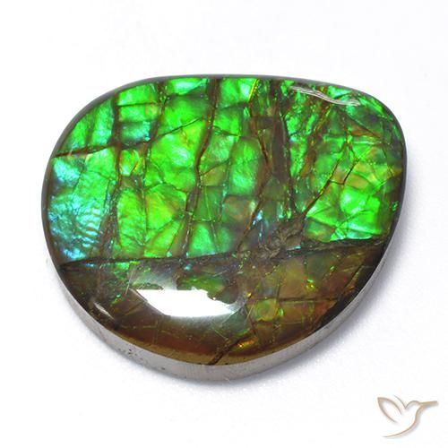 18.62 ct Multicolor Ammolite Stone, Natural Ammolite in Fancy Cabochon Shape for Sale