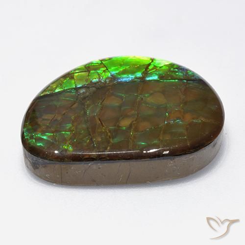 Ammolite Gemstone in 21.7 x 19.1 mm Size for Sale, Ammolite Stone in Multicolor Color