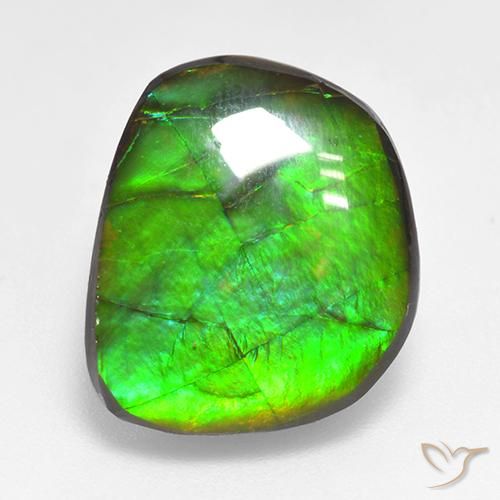 10.59 ct Fancy Ammolite, 16.3 x 13.8 mm From Canada, Photo A
