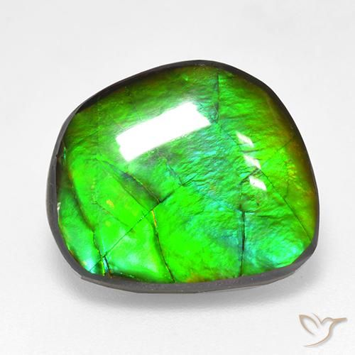 10.59 ct Multicolor Ammolite Stone, Natural Ammolite in Fancy Cabochon Shape for Sale