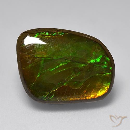 10.83 ct Multicolor Ammolite Stone, Natural Ammolite in Fancy Cabochon Shape for Sale
