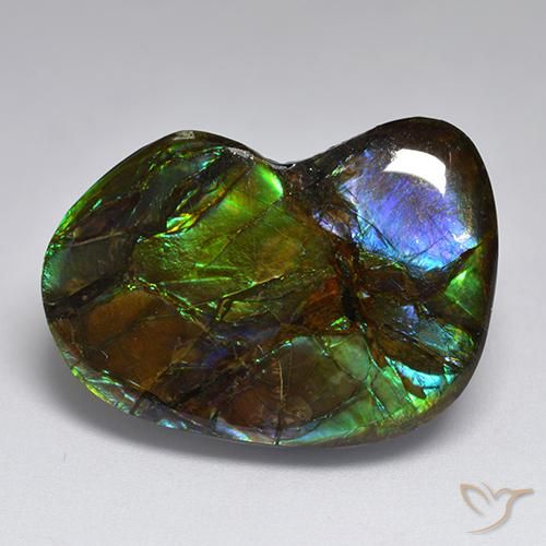 23.10 ct Multicolor Ammolite Stone, Natural Ammolite in Fancy Cabochon Shape for Sale