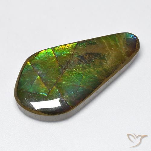 15.47ct Natural Multicolor Ammolite, Fancy, Opaque