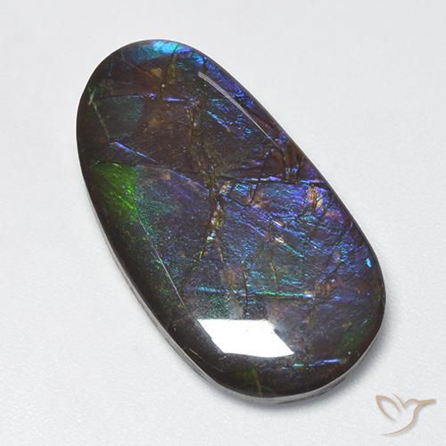 16.63 ct Multicolor Ammolite Stone, Natural Ammolite in Fancy Cabochon Shape for Sale