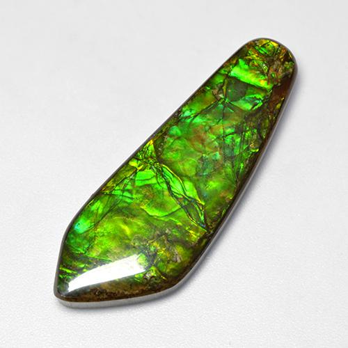 25.04 ct Multicolor Ammolite Gemstone, Ammolite Gem in Fancy Cabochon Shape for Sale.