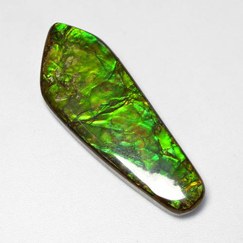 25.04 ct Multicolor Ammolite Stone, Natural Ammolite in Fancy Cabochon Shape for Sale