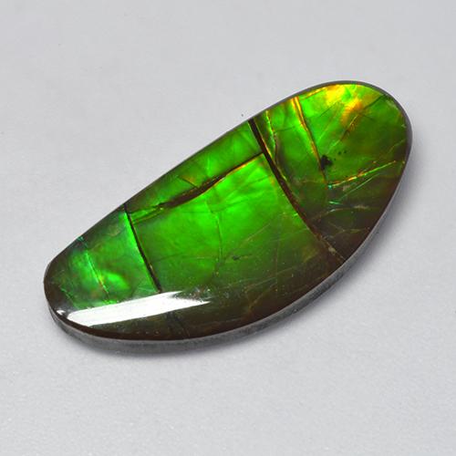 12.39 ct Multicolor Ammolite Gemstone, Ammolite Gem in Fancy Cabochon Shape for Sale.