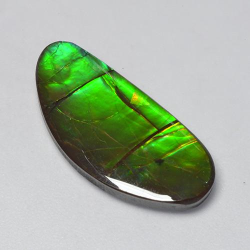 12.39 ct Multicolor Ammolite Stone, Natural Ammolite in Fancy Cabochon Shape for Sale