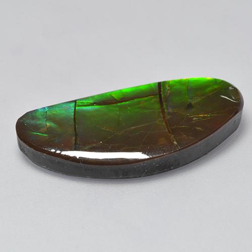 Ammolite Gemstone in 26.2 x 12.2 mm Size for Sale, Ammolite Stone in Multicolor Color